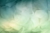 spring flowers background