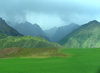shades of green