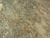 sidewalk textured background