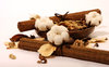 cotton flower abstract