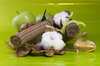 still life with cotton flowers