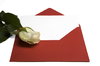 letter and rose concept