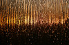 abstract