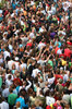 crowd
