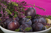 dark-skinned-plum