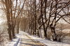 winter landscape