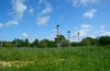 Storks