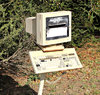 monitoring snail mail