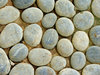 pebble path close-up