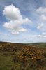 Exmoor view