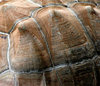 contoured shell-ter