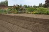 Garden furrows