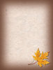 Paper 5