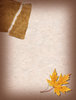 Paper 9