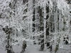 Cold