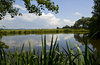 Pilling Pond