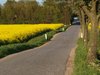 Rape and road