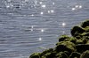 Rocks, water & shine