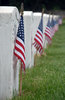 Memorial Day