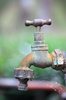 Garden faucet