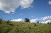 Top of the hill