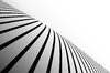 Black Striped Perspective 2