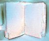 Abandoned Notebook