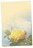 Yellow Rose Paper