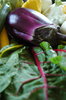 Aubergine