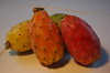 Prickly pear