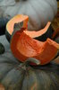 Musquee de Provence squash
