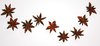 Star anise 1