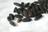 Tonka beans 1