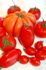 Different tomatoes 2