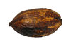 Cocoa pod
