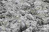 Mud 2