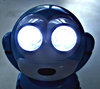 night vision