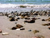 sea 11