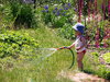 little gardener