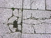 texture 1