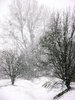 ...in winter