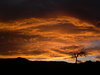 Sunset Andalucia