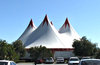 it's the circus!