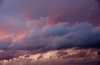 Dusk 1