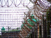 Prison Images From Robben Isla