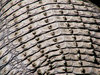 Crocodile 5