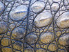 Crocodile Skin Au Naturel 1
