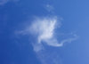 Wisp