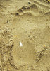 Footprint