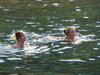 swimming